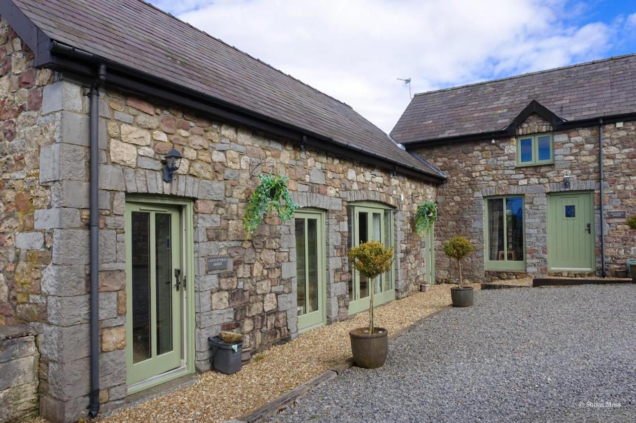 Rhiwddu Barns Vila Llangadog Exterior foto
